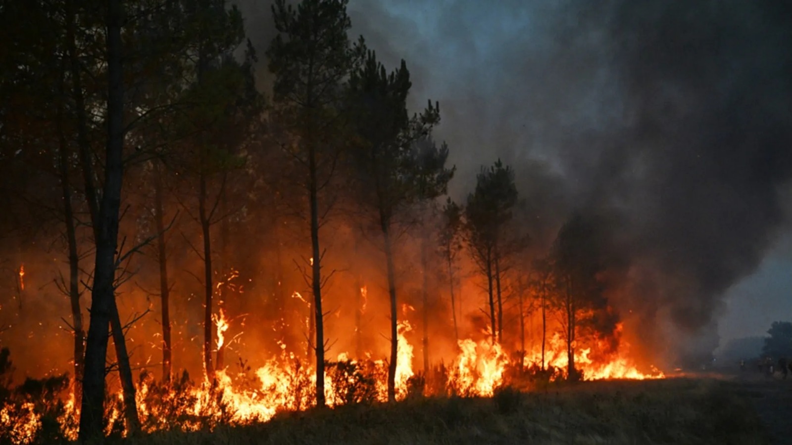 Hundreds of thousands evacuated in France and Spain as wildfires rage on
