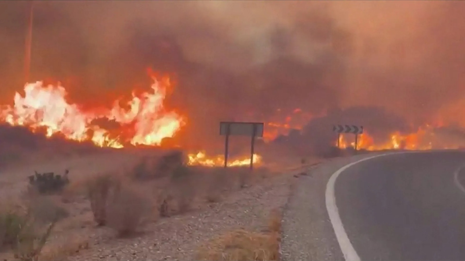 11 people killed as wildfires tear through southern Spain
